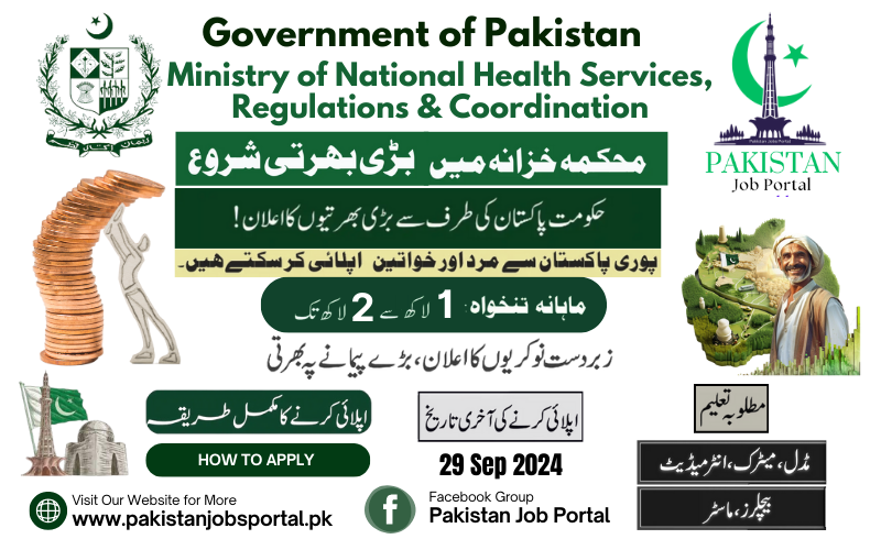 Government of Pakistan Finance Division Jobs 2024