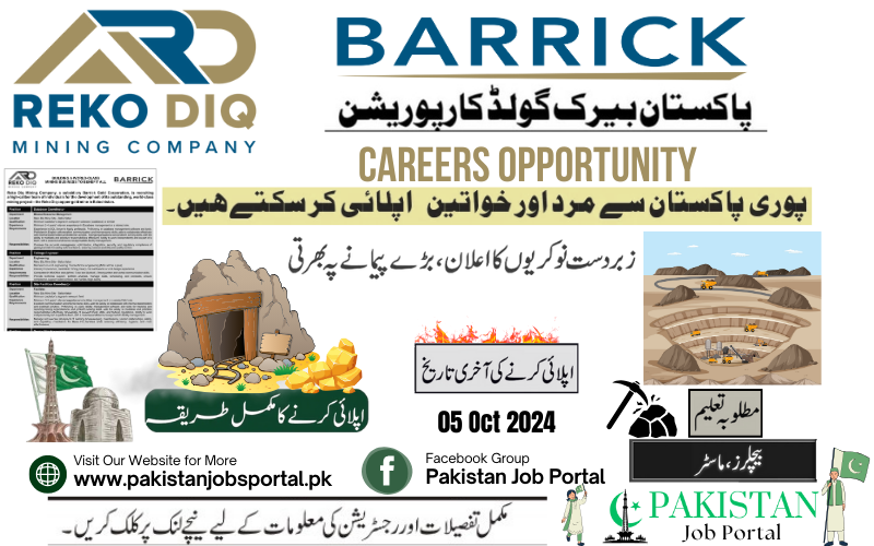 Jobs in Reko Diq (Barrick Gold Mining Company) 